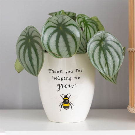 Thank You For Helping Me Grow Ceramic Plant Pot - Pots & Planters at Gift Moments