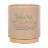 Cream Speckle Blooming Fabulous Plant Pot - Pots & Planters at Gift Moments