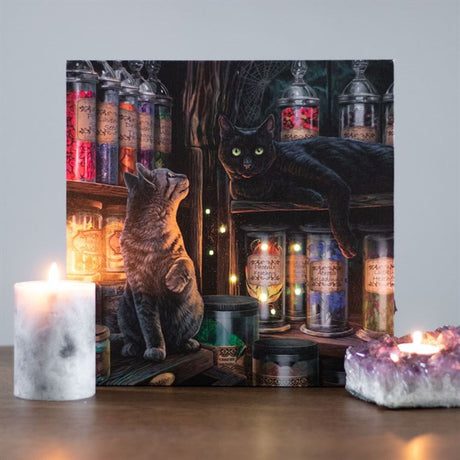 Magical Emporium Light Up Canvas Plaque by Lisa Parker - Wall Art at Gift Moments