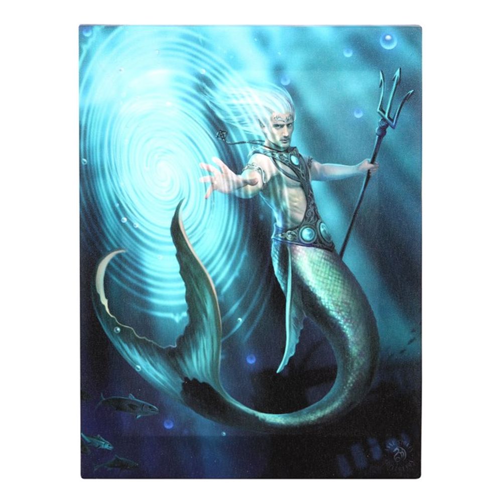 Water Element Wizard Canvas Plaque by Anne Stokes - Wall Art at Gift Moments