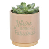 Cream Speckle Blooming Fabulous Plant Pot - Pots & Planters at Gift Moments