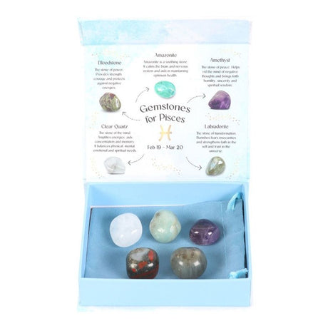 Pisces Crystal Tumblestone Set - at Gift Moments