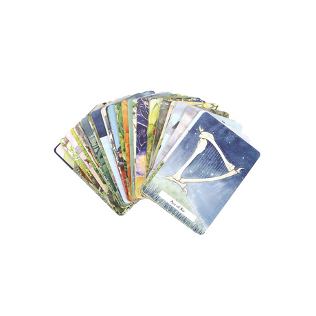 The Witches' Wisdom Tarot Cards Standard Edition - Tarot Cards at Gift Moments