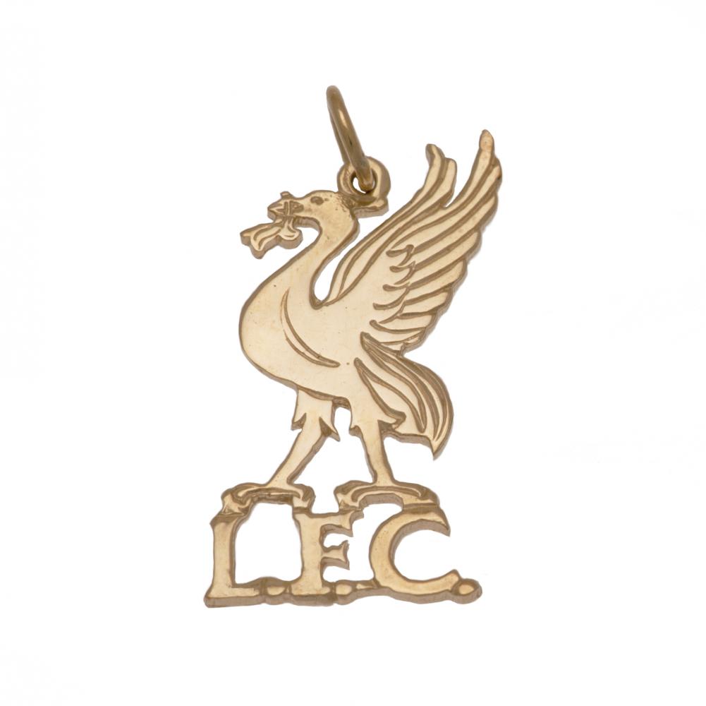 Liverpool FC 9ct Gold Pendant Liverbird Medium - A Symbol of Pride - Jewellery at Gift Moments