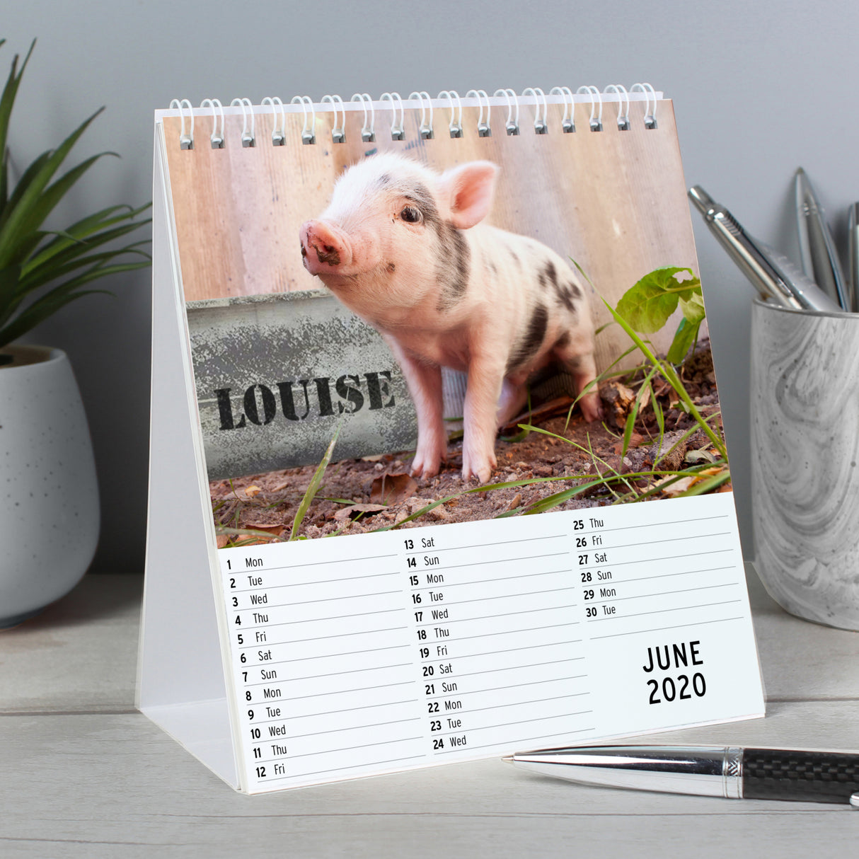 Personalised Cute Animals Desk Calendar - Calendars & Planners at Gift Moments