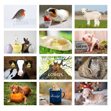 Personalised Cute Animals Desk Calendar - Calendars & Planners at Gift Moments