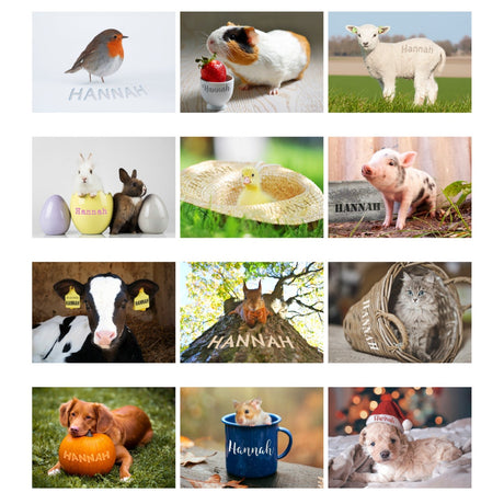 Personalised A4 Cute Animals Calendar - Calendars & Planners at Gift Moments