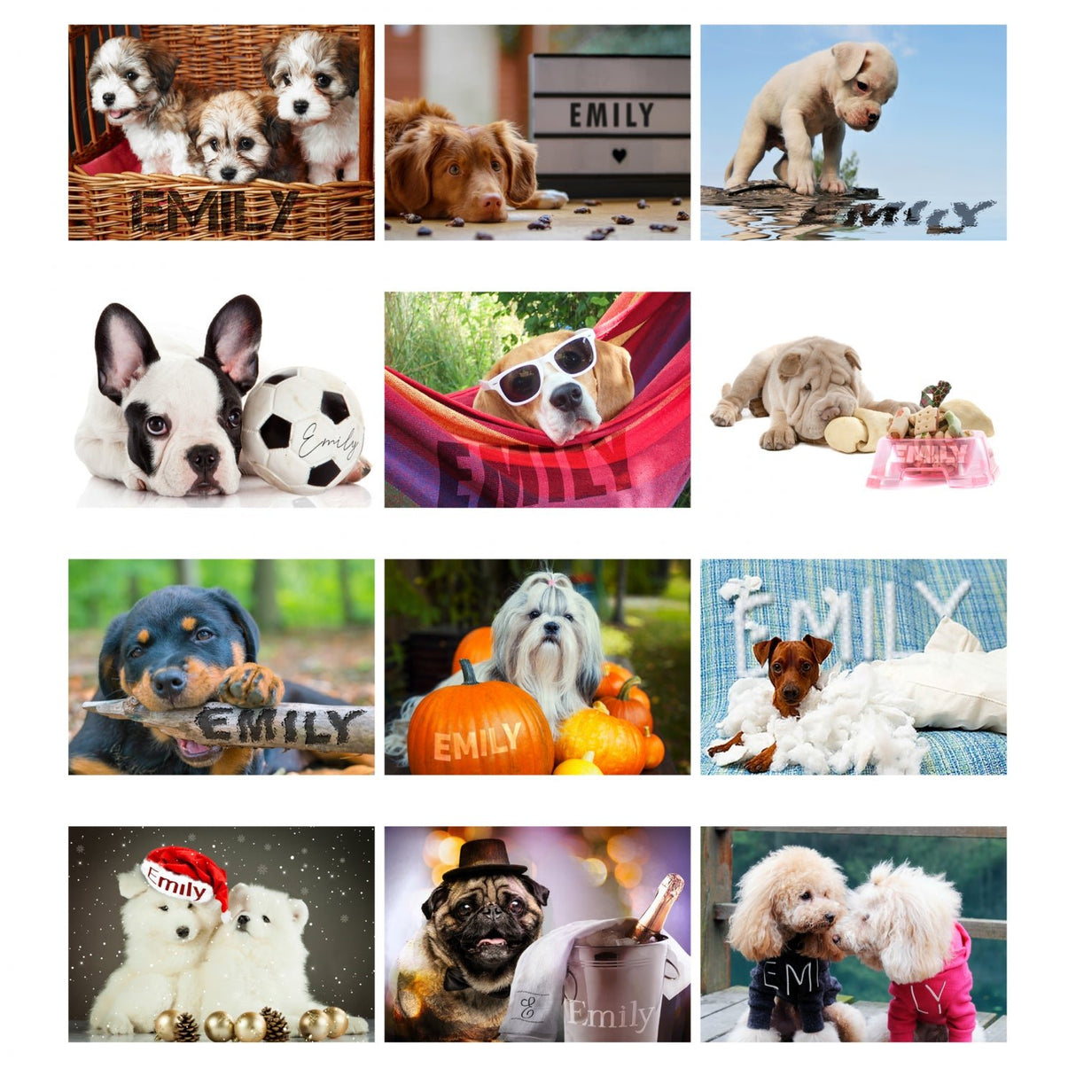 Personalised A4 Dog Lovers Calendar: 6 - Calendars & Planners By Gift Moments