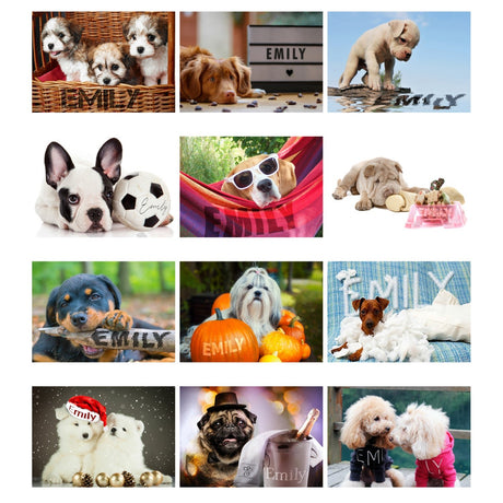 Personalised A4 Barking Mad Calendar - Calendars & Planners at Gift Moments