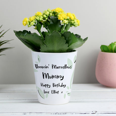 Personalised Free Text Plant Pot - Vases & Plant Pots at Gift Moments