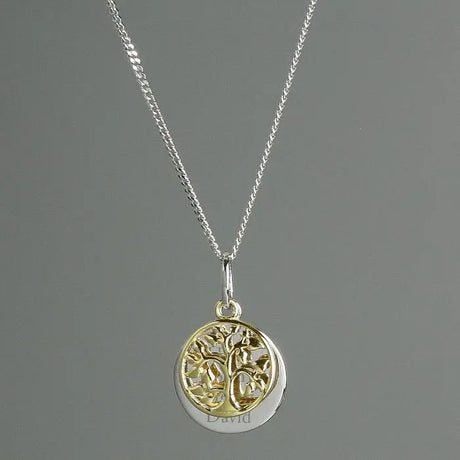 Personalised Sterling Silver & 9ct Gold Family Tree Necklace - Gift Moments