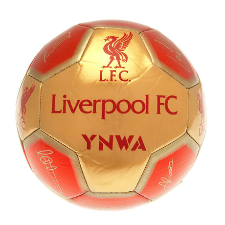 Liverpool FC Signature 26 Skill Ball - Balls at Gift Moments