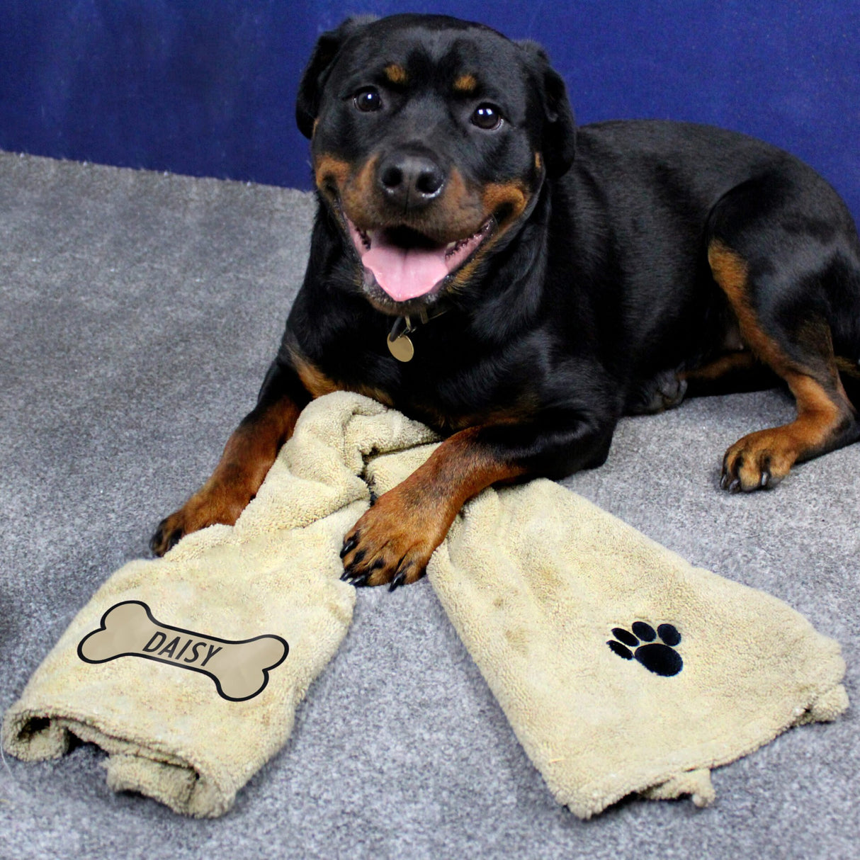 Bone Brown Microfiber Pet Towel - Gift Moments