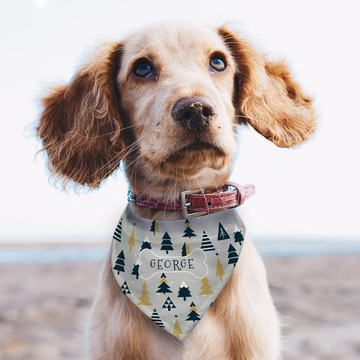 Personalised Christmas Tree Dog Bandana - Pet Products at Gift Moments