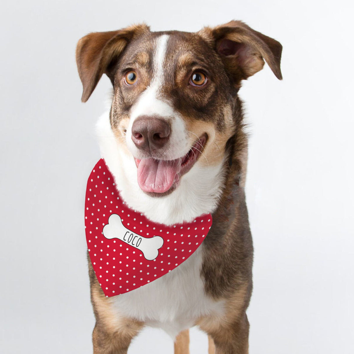 Personalised Red Polka Dot Dog Bandana - Pet Products at Gift Moments