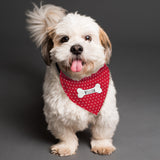 Personalised Red Polka Dot Dog Bandana - Pet Products at Gift Moments