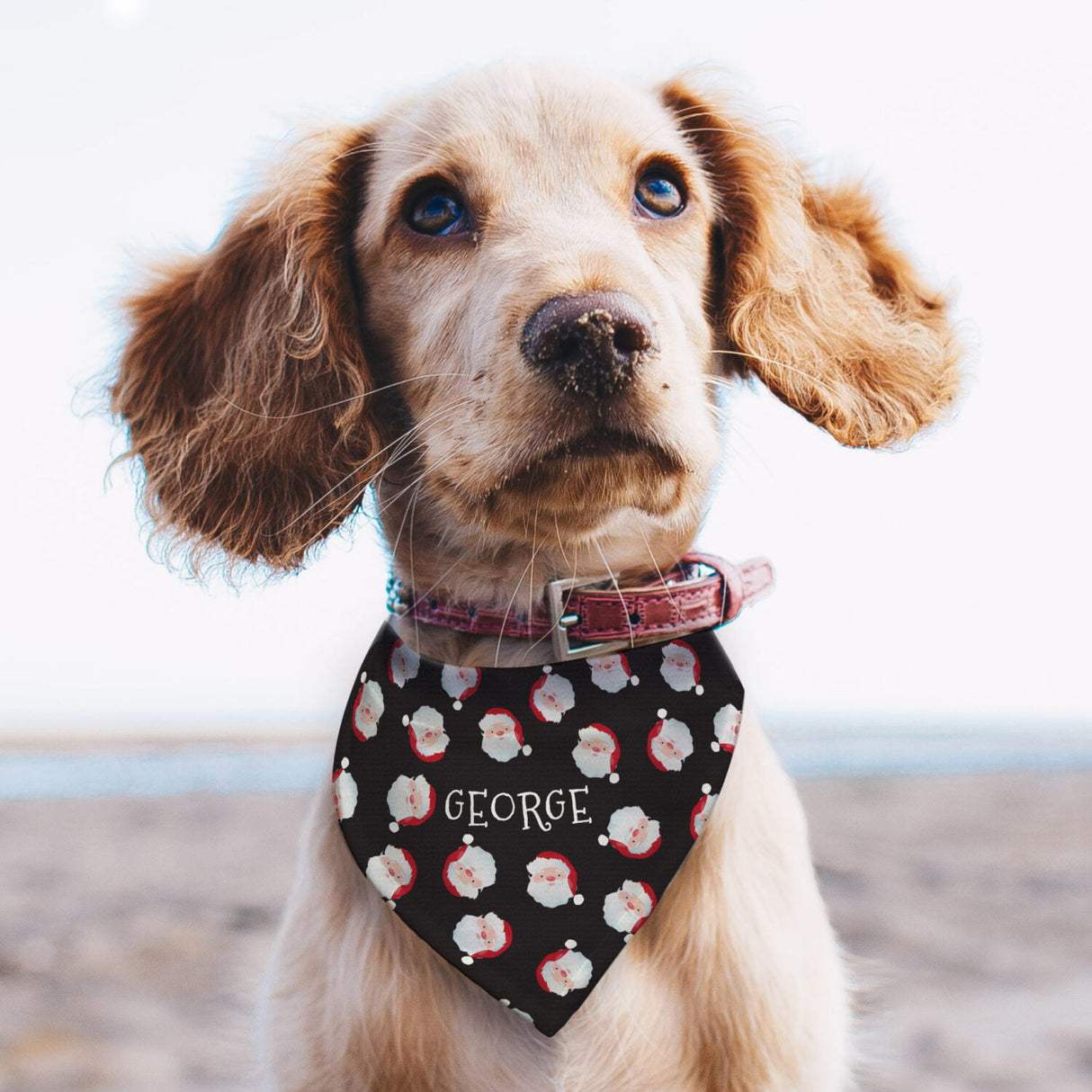 Personalised Santa Black Dog Bandana - Pet Products at Gift Moments