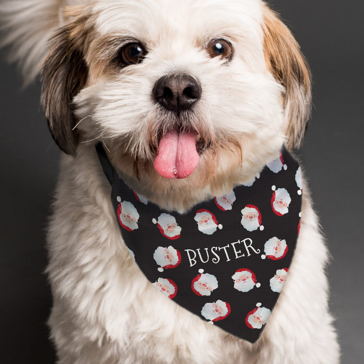 Personalised Santa Black Dog Bandana - Pet Products at Gift Moments