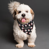 Personalised Santa Black Dog Bandana - Pet Products at Gift Moments