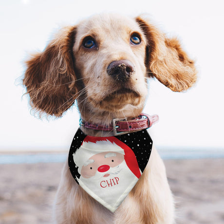 Personalised Santa Dog Bandana - Pet Products at Gift Moments