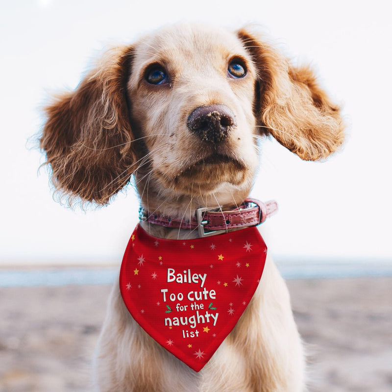 Dog personalised outlet bandana